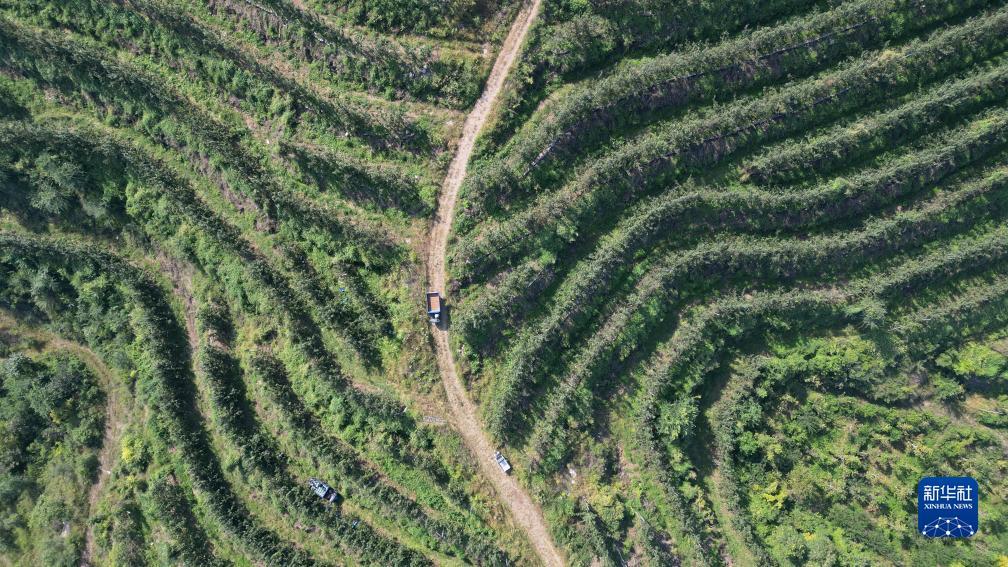 3m平台最新登陆网址
